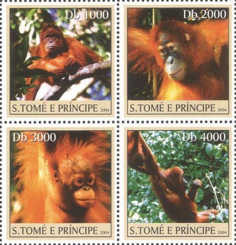 Potovn znmky Svat Tom 2004 Orangutani Mi# 2609-12 - zvtit obrzek