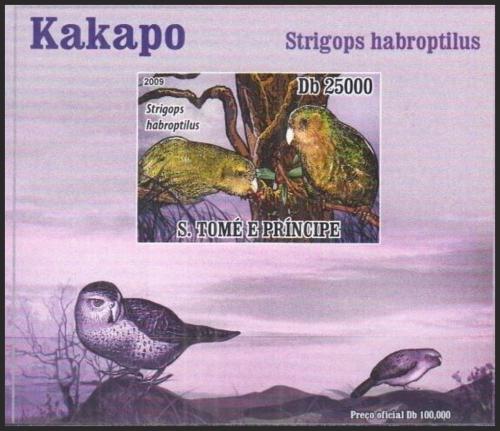 Potovn znmka Svat Tom 2009 Kakapo sov DELUXE neperf. Mi# 3887 B Block - zvtit obrzek