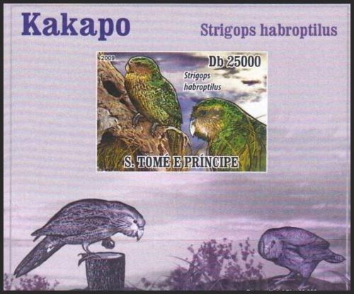 Potovn znmka Svat Tom 2009 Kakapo sov DELUXE neperf. Mi# 3888 B Block - zvtit obrzek