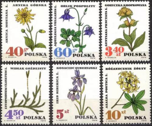 Potovn znmky Polsko 1967 Liv rostliny Mi# 1770-75