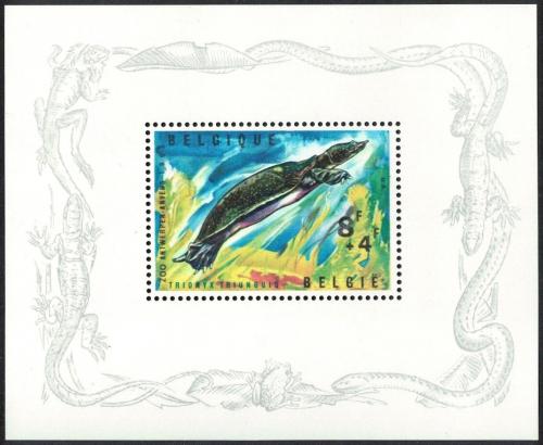 Poštovní známka Belgie 1965 Kožnatka africká Mi# Block 33
