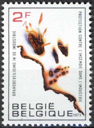 Potovn znmka Belgie 1973 Protiporn ochrana Mi# 1713