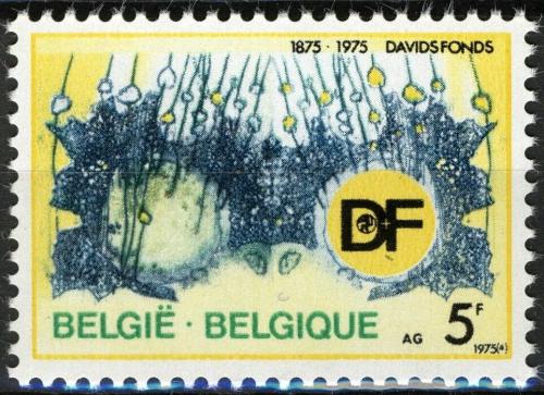 Poštovní známka Belgie 1975 Davidùv fond, 100. výroèí Mi# 1809
