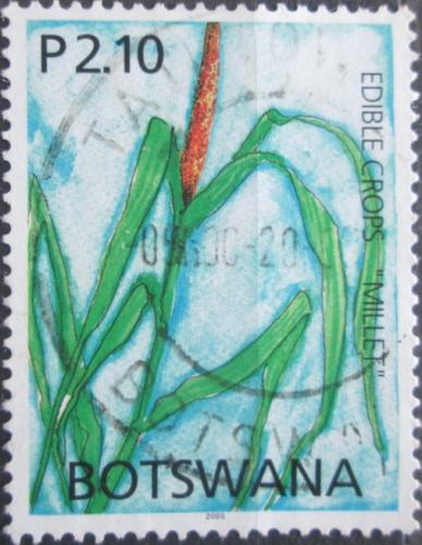 Potovn znmka Botswana 2005 Br italsk II Mi# 814