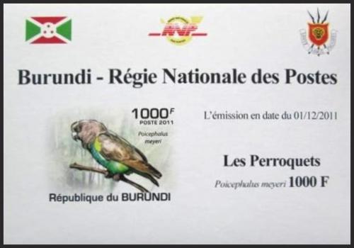 Potovn znmka Burundi 2011 Papouek lutotemenn neperf DELUXE Mi# 1975 B Block
