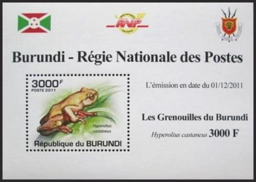Potovn znmka Burundi 2011 ba DELUXE Mi# 2064 Block - zvtit obrzek