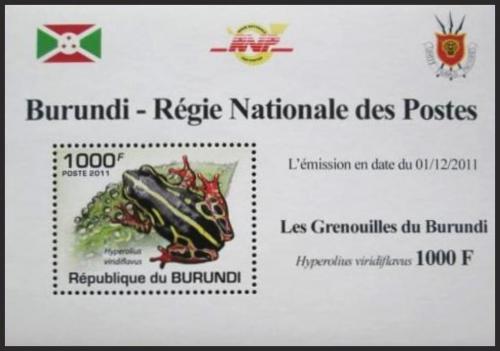 Potovn znmka Burundi 2011 ba DELUXE Mi# 2066 Block - zvtit obrzek