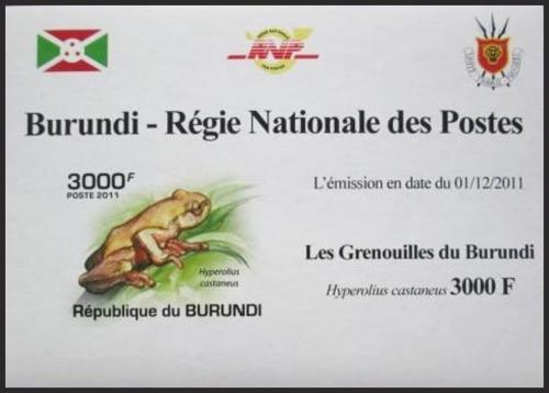 Potovn znmka Burundi 2011 ba neperf. DELUXE Mi# 2064 B Block  - zvtit obrzek