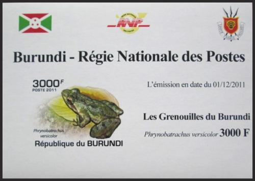 Potovn znmka Burundi 2011 ba neperf. DELUXE Mi# 2065 B Block - zvtit obrzek