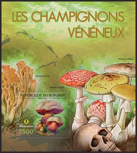 Poštovní známka Burundi 2012 Jedovaté houby Mi# Block 273 Kat 9€