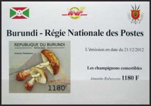 Potovn znmka Burundi 2012 Muchomrka rovka DELUXE Mi# 2738 B Block
