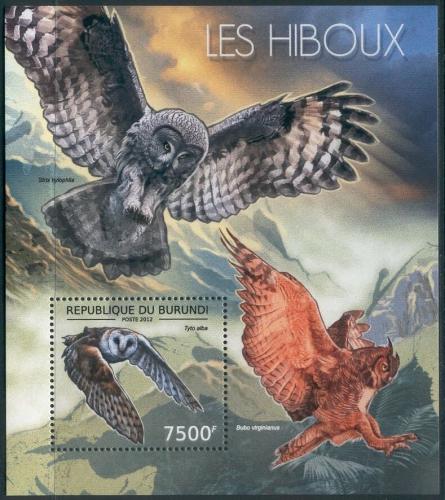 Poštovní známka Burundi 2012 Sovy Mi# Block 286 Kat 9€