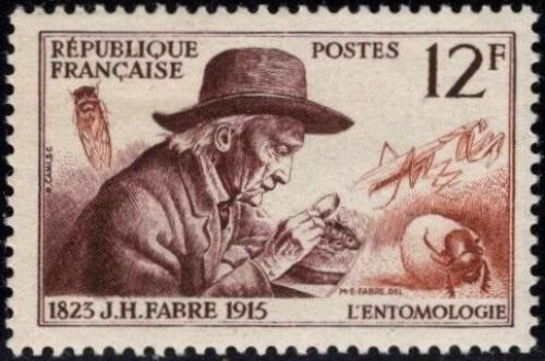 Potovn znmka Francie 1956 Jean-Henri Fabre, entomolog Mi# 1083