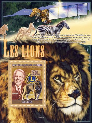Poštovní známka Guinea 2008 Lev Mi# Block 1534 Kat 10€ 