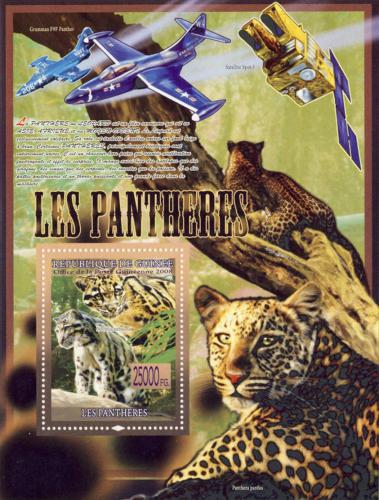 Poštovní známka Guinea 2008 Levhart skvrnitý Mi# Block 1535 Kat 10€