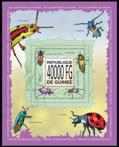 Poštovní známka Guinea 2013 Brouci Mi# Block 2289 Kat 16€