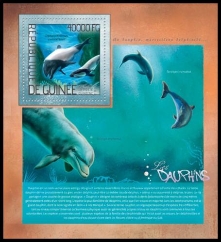 Poštovní známka Guinea 2014 Delfíni Mi# Block 2373 Kat 16€