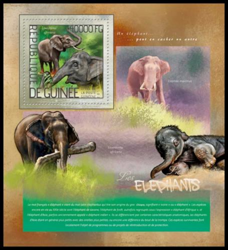 Poštovní známka Guinea 2014 Sloni Mi# Block 2371 Kat 16€