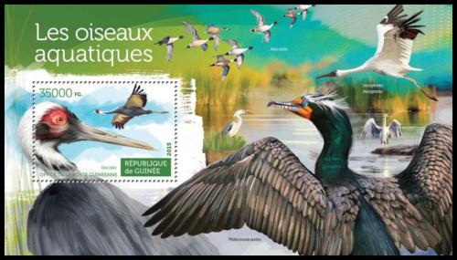Poštovní známka Guinea 2015 Vodní ptáci Mi# Block 2532 Kat 14€