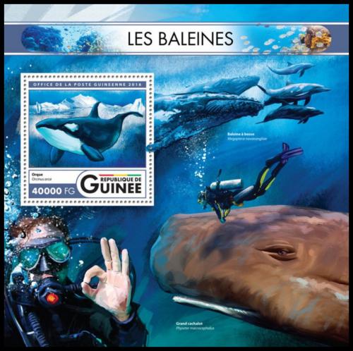 Poštovní známka Guinea 2016 Velryby Mi# Block 2684 Kat 16€