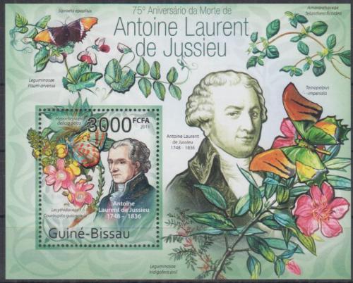 Poštovní známka Guinea-Bissau 2011 Motýli, de Jussieu Mi# Block 936 Kat 12€