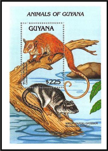 Poštovní známka Guyana 1992 Caluromys laniger Mi# Block 203 Kat 10€