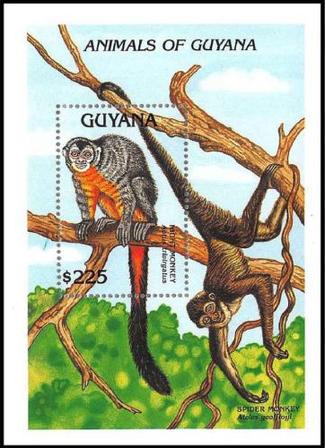 Poštovní známka Guyana 1992 Mirikina obecná Mi# Block 202 Kat 10€