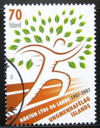 Poštovní známka Island 2007 Organizace mládeže Mi# 1161