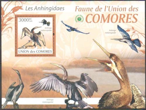 Poštovní známka Komory 2009 Anhingy Mi# 2421 Kat 15€