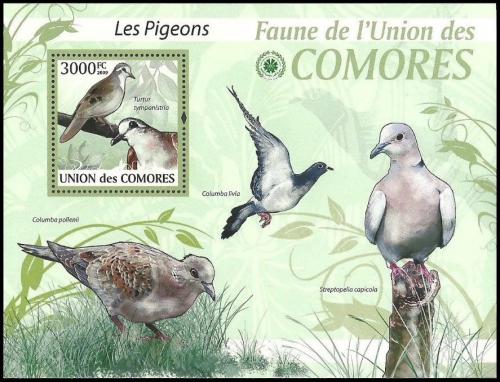 Poštovní známka Komory 2009 Holubi Mi# Block 522 Kat 15€
