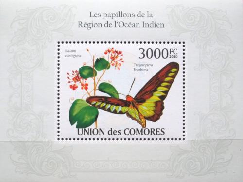 Poštovní známka Komory 2009 Motýl, Trogonoptera brookiana Mi# Block 569 Kat 15€