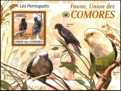 Poštovní známka Komory 2009 Papoušci Mi# 2424 Kat 15€