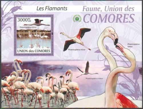 Poštovní známka Komory 2009 Plameòáci Mi# 2427 Kat 15€ 