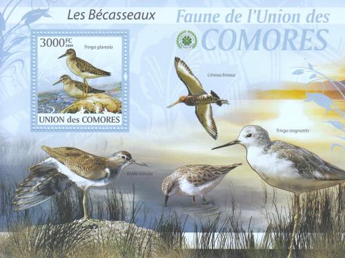 Poštovní známka Komory 2009 Sluky Mi# 2420 Kat 15€