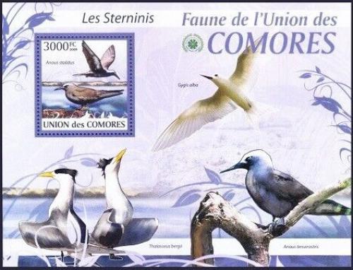 Poštovní známka Komory 2009 Rybák Mi# 2426 Kat 15€ 
