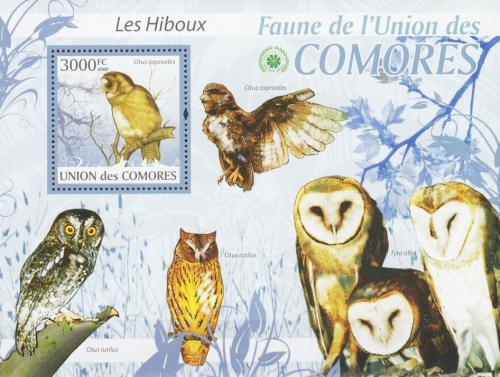 Poštovní známka Komory 2009 Sovy Mi# 2429 Kat 15€