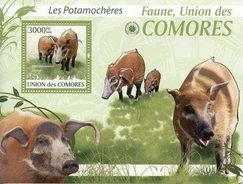 Poštovní známka Komory 2009 Štìtkoun africký Mi# 2465 Kat 15€