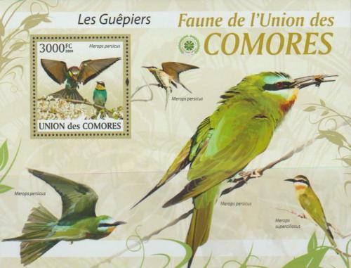 Poštovní známka Komory 2009 Vlha zelená Mi# 2417 Kat 15€