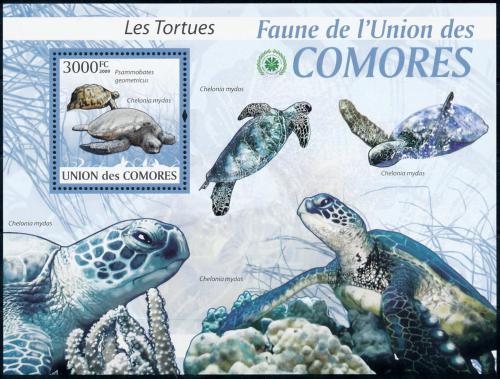 Poštovní známka Komory 2009 Želvy Mi# Block 512 Kat 15€