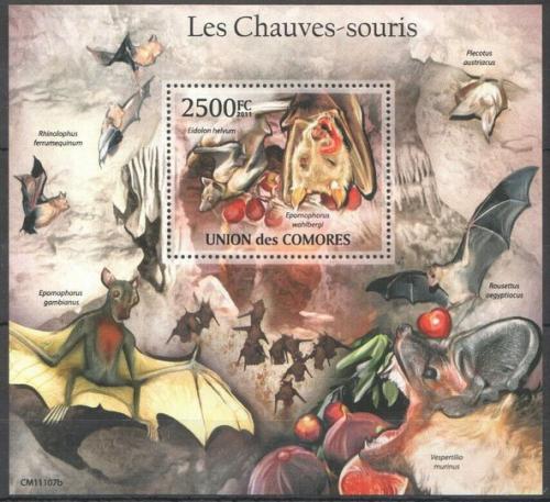 Poštovní známka Komory 2011 Netopýøi Mi# Block 632 Kat 13€