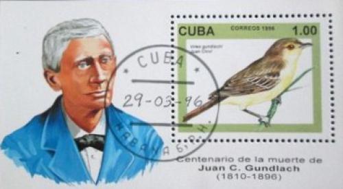 Potovn znmka Kuba 1996 Ptci Mi# Block 144