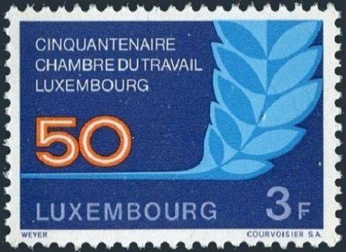 Potovn znmka Lucembursko 1973 Dlnick komora, 50. vro Mi# 868 - zvtit obrzek