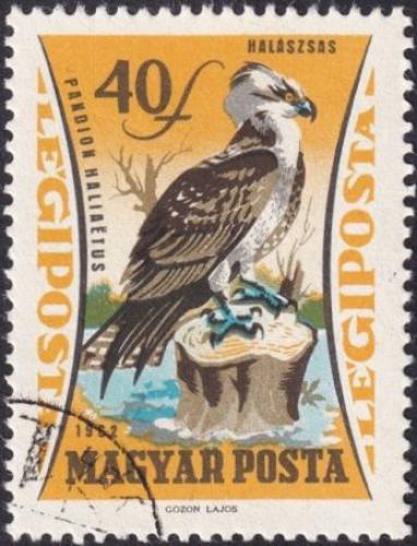 Poštovní známka Maďarsko 1962 Orlovec říční 1B Mi# 1882