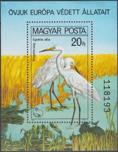Poštovní známka Maïarsko 1980 Volavka Mi# Block 146