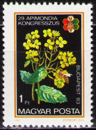 Poštovní známka Maïarsko 1983 Flóra Mi# 3631