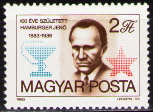 Poštovní známka Maïarsko 1983 Jenö Hamburger, lékaø Mi# 3611