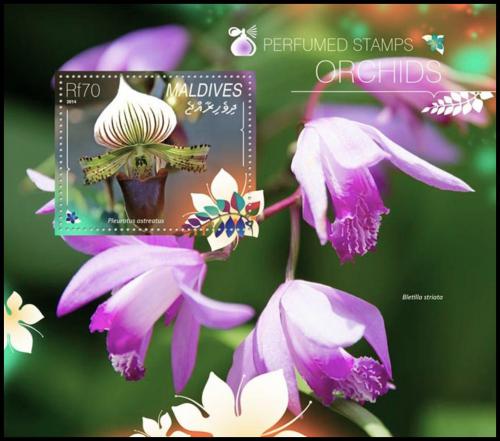 Potovn znmka Maledivy 2014 Orchideje Mi# Block 743 Kat 9