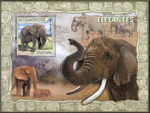 Poštovní známka Mosambik 2007 Sloni Mi# Block 228 Kat 10€ 
