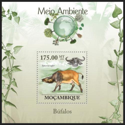 Poštovní známka Mosambik 2010 Buvol africký Mi# Block 302 Kat 10€