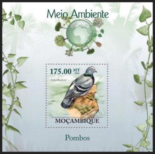 Poštovní známka Mosambik 2010 Holub skalní Mi# Block 291 Kat 10€